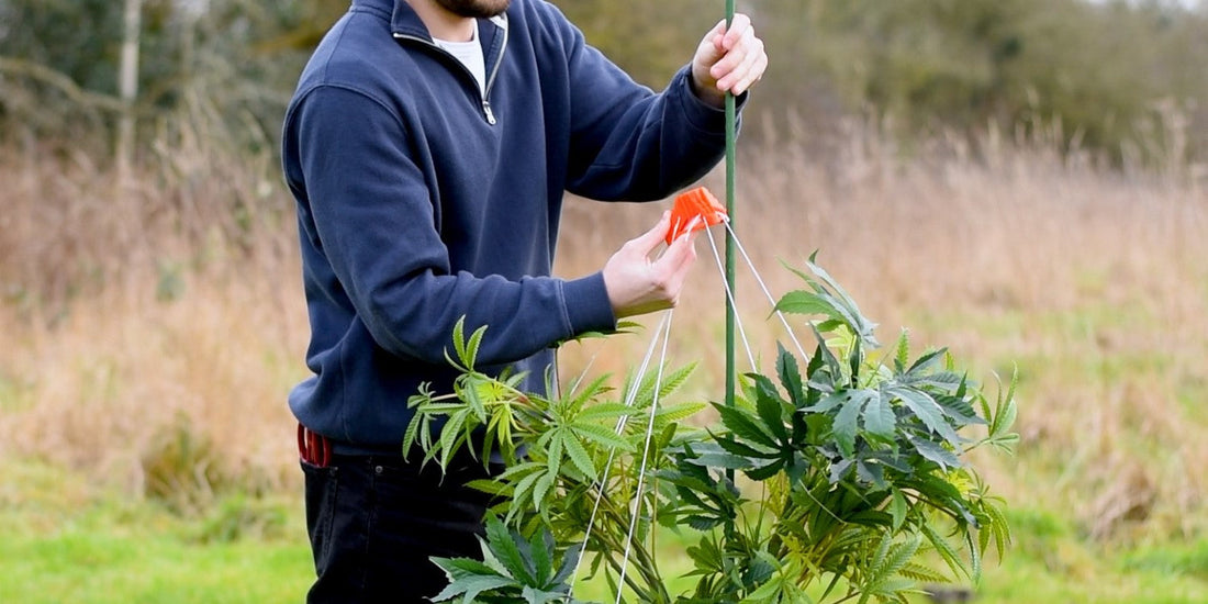 How to use the Stringy-Thingy
