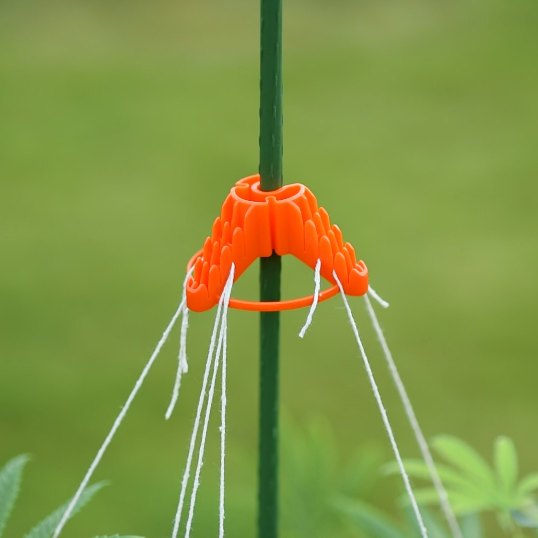 Stringy-Thingy - Pack of 5