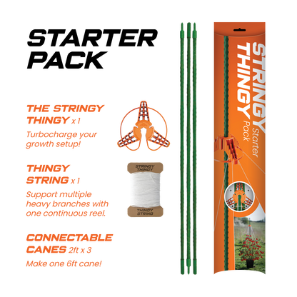 Stringy Thingy starter pack with packaging, canes, and string on a white background