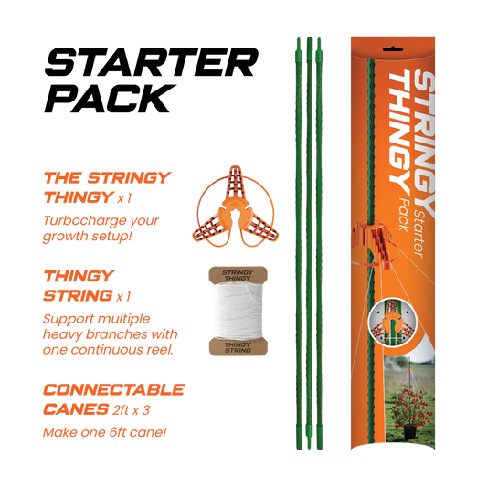 Stringy Thingy starter pack with packaging, canes, and string on a white background