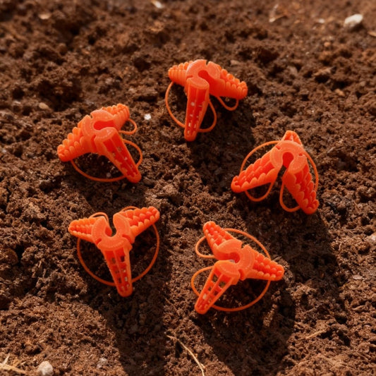 Stringy-Thingy Pack of 5